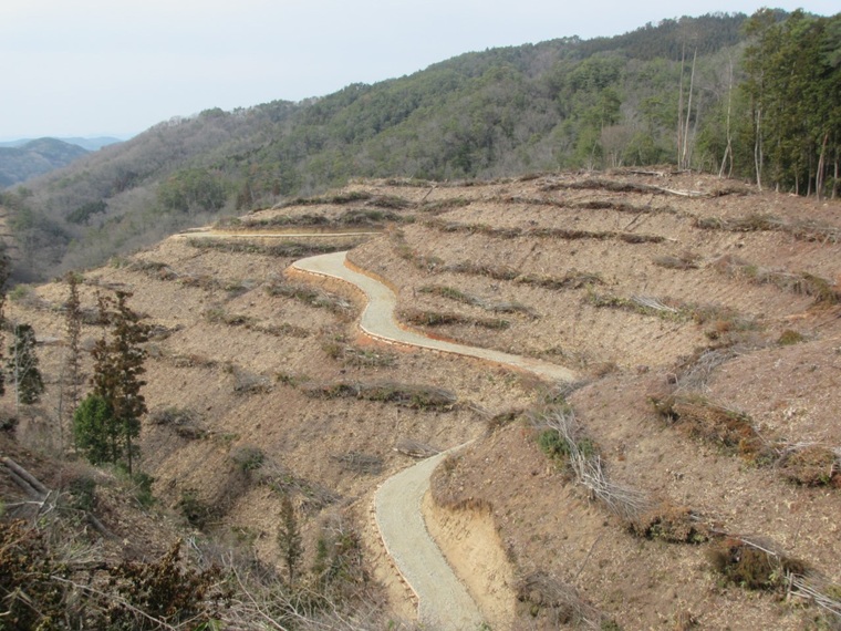 森林所有者に寄り添い、地域林業を守り育てる！