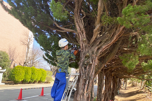 緑の空間を創造し、緑の環境を守る!! 造園・外構作業員